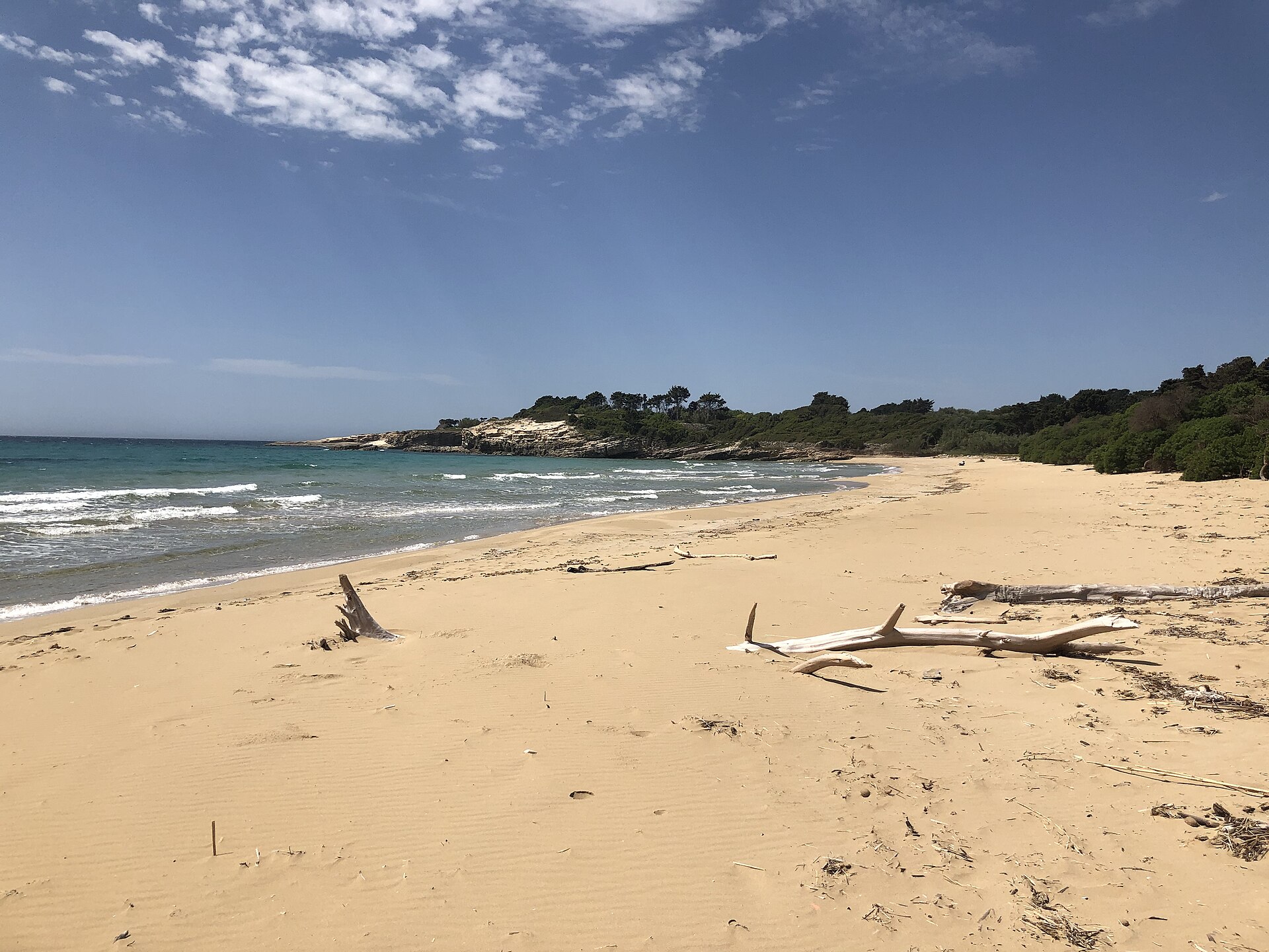 Spiaggia della Marchesa all'Oasi del Gelsomineto, sabbia chiara, mare turchese e pineta mediterranea