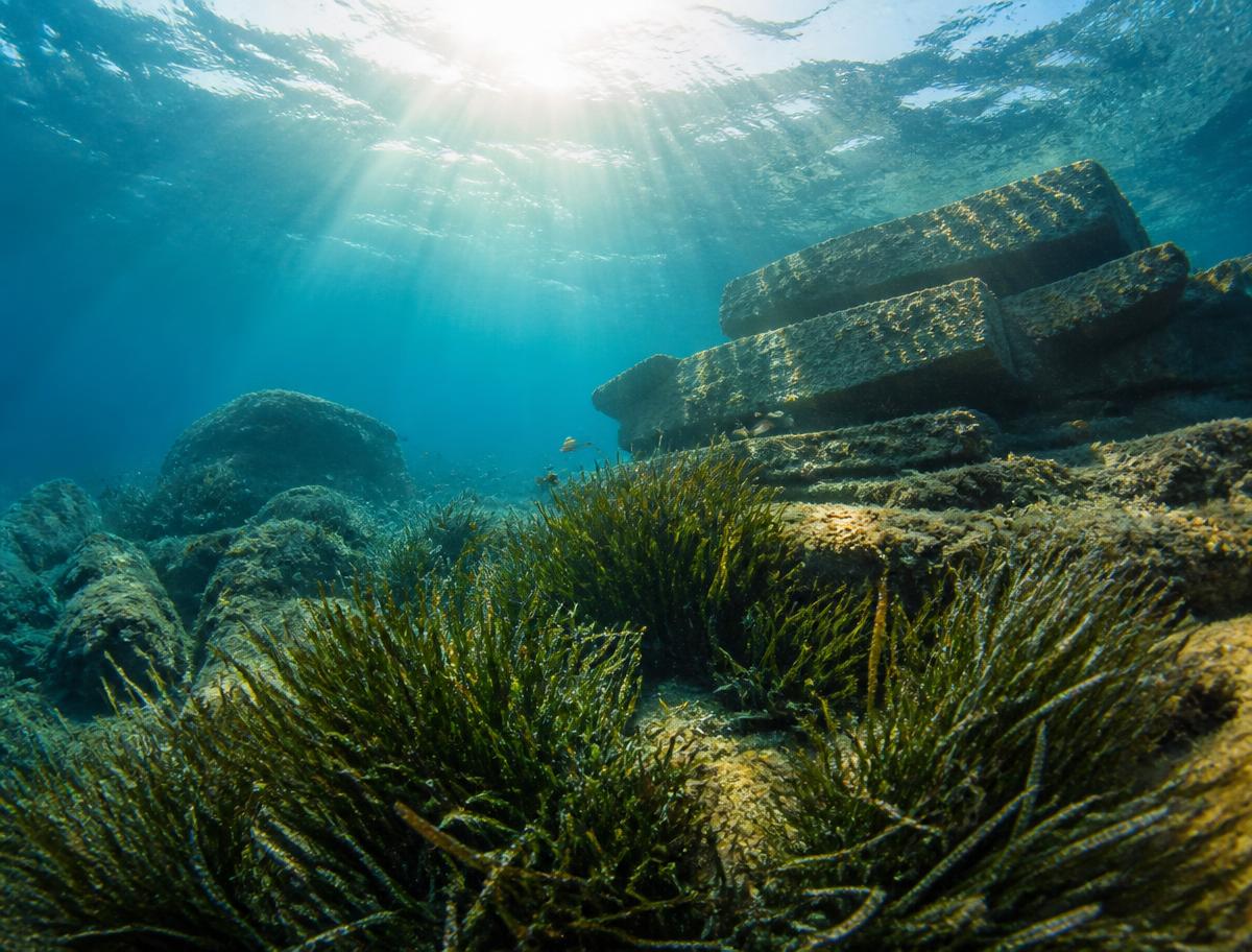 Fondale marino cristallino della Riserva di Plemmirio, luce sott'acqua e Posidonia